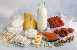 植物性蛋白质来源于哪些食物
