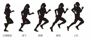 慢跑锻炼心肺功能需要跑多久