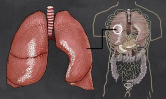 慢性阻塞性肺病康复治疗的主要目的是增强肺功能