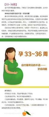 孕妇营养计划