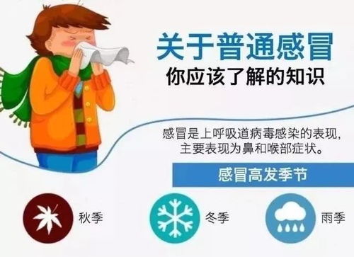 幼儿园里预防流行性感冒的主要措施有