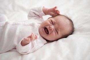 婴儿睡眠指导